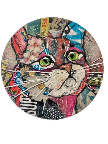 Kitty by Elizabeth Hilton