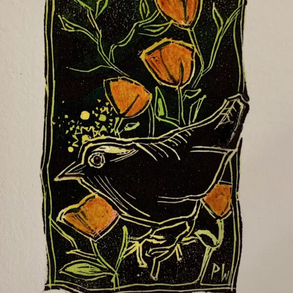 Winter Wren by Pamela Wachtler