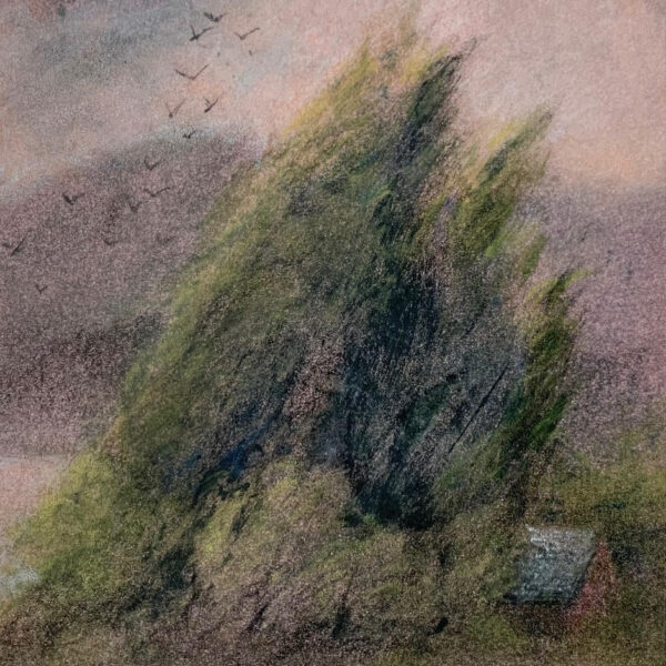 25 MPH by Pamela Wachtler