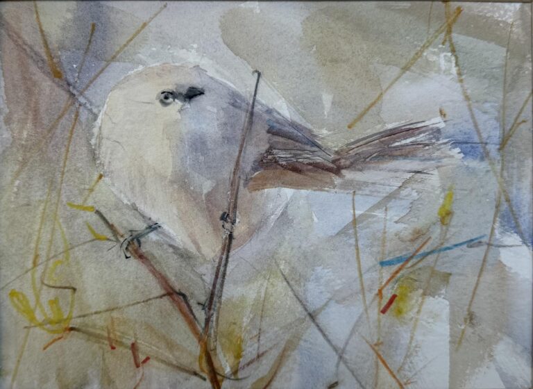 Bushtit 2 by Randena Walsh