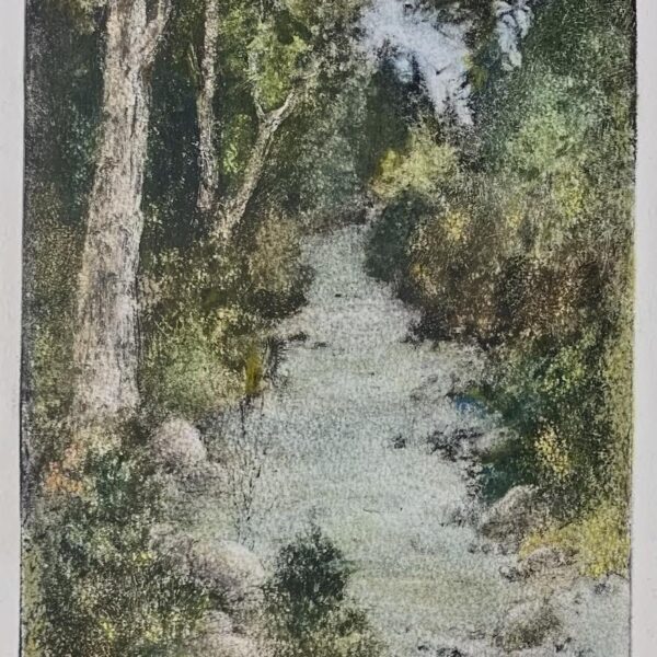 Upstream by Pamela Wachtler